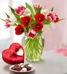 Sweetest Love Tulips, 15 Stems w Chocolate