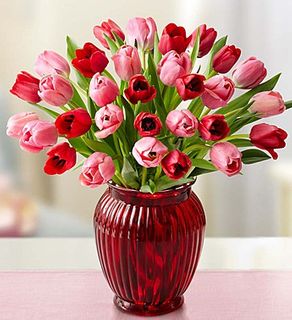 Sweetest Love Tulips