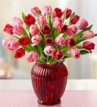 Sweetest Love Tulips Sweetest Love Tulips