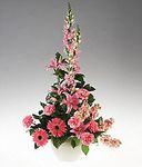 Sympathy all Pink Arrangement