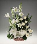Sympathy Basket arrangement of mixed white flowers.