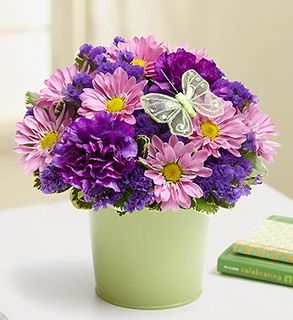 Sympathy Basket plants