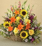 Sympathy Fireside Basket 