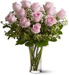 Sympathy Flowers A Dozen Pink Roses Flowers Sympathy Flowers A Dozen Pink Roses Flowers