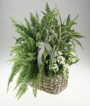 Sympathy Mixed basket of green and white blooming plants.