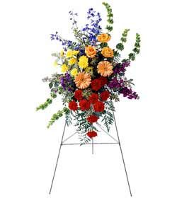 Sympathy the colorful arrangement an easel