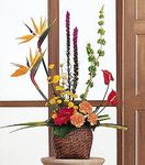 Sympathy Tropical Bouquet