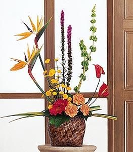 Sympathy Tropical Bouquet