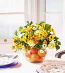 Tangerine Bubble Bowl Tangerine Bubble Bowl