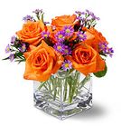 Tangerine Sky Tangerine Sky