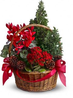 Tannenbaum Basket