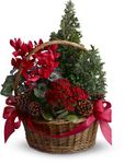 Tannenbaum Basket