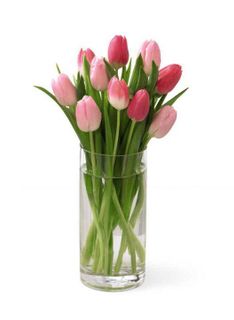 Tender Tulips Bouquet