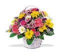 TF15-1 - Small Mixed Basket TF15-1 - Small Mixed Basket