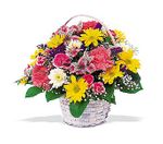 TF15-1 - Small Mixed Basket