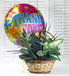 Thank You Dish Garden Thank You Dish Garden