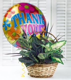Thank You Garden