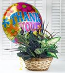 Thank You Garden