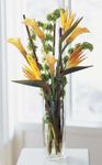 The Tropicala Flower Design The Tropicala Flower Design