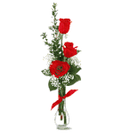 Three red roses arrive in a clear vase w HVDAY BEAR