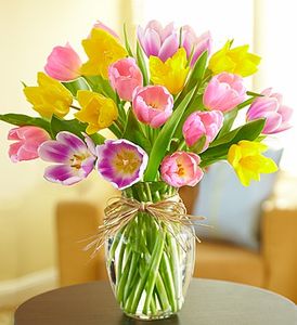 Timeless Tulips
