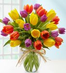 Timeless Tulips