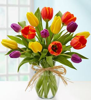 Timeless Tulips