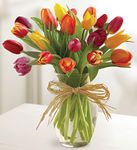Timeless Tulips