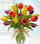 Timeless Tulips 