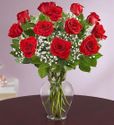 Long Stem Red- Happy Larbor Day Long Stem Red- Happy Larbor Day