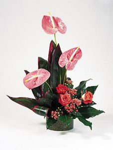 Tropical Anthurium bouquet