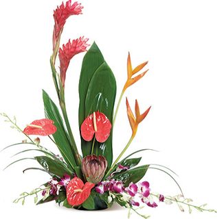 Tropical Arrangement