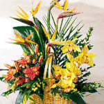 Tropical Basket Arrangements
