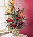 Tropical Flower Arrangement 