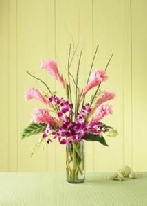 Tropicala Arrangement 