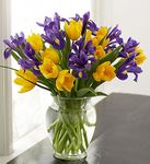 Tulip and Purple Iris Bouquet Tulip and Purple Iris Bouquet