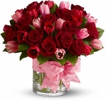  Tulips 