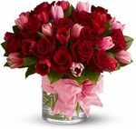 Valentine's Tulips and Rose