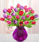 Tulips bouquet