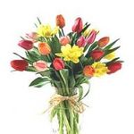 Tulips Bouquet
