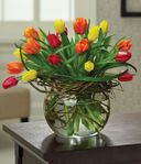 Tulips Entwined Tulips Entwined