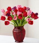 Tulips for Your
