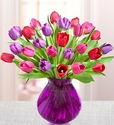 Tulips for Your Valentine Tulips for Your Valentine