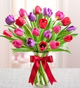 Tulips Mixed Color Tulips Mixed Color