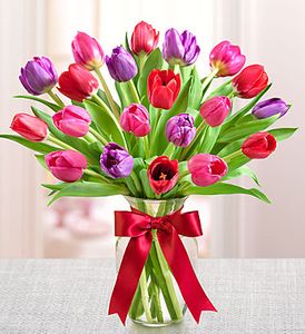 Tulips Mixed Color 