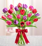 Tulips Mixed Color 