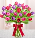 Tulips Valentine Tulips Valentine