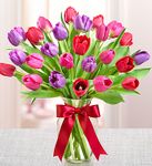 Tulips Valentine