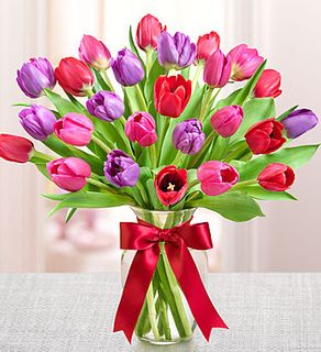 Tulips Valentine