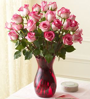 Two Dozen Long Stem Exotic Pink Roses